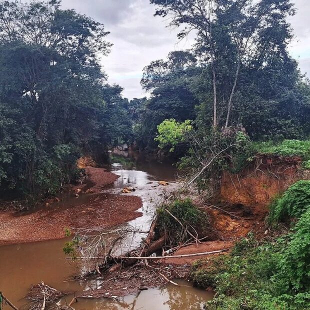 Rio Melchior