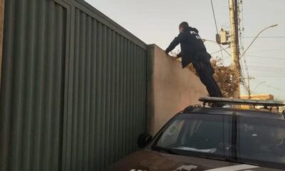 Mandado cumprido durante a Operação Primeira Infância — Foto: PCDF/Reprodução