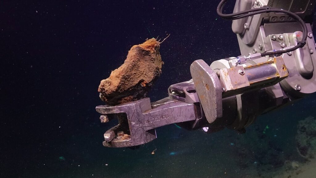 Imagem: ROV Jason/Woods Hole Oceanographic Institute